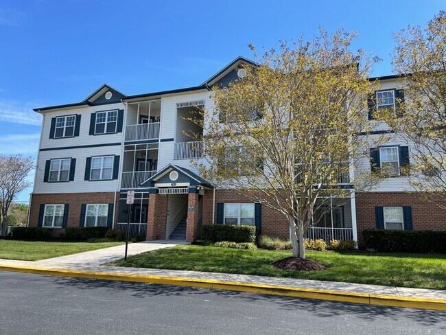 Primary Photo - Village of 5 Points Condo- where you can walk to everything!