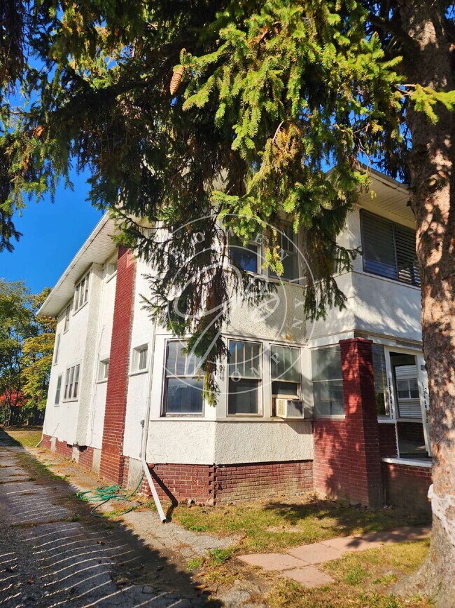Building Photo - 1200 Sq foot lower duplex! Tons of space and character! Water included!