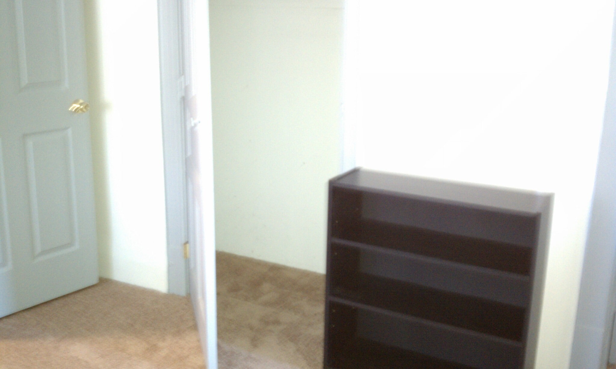 BR 2 bookcase and closet - 436 E Pittsburgh St