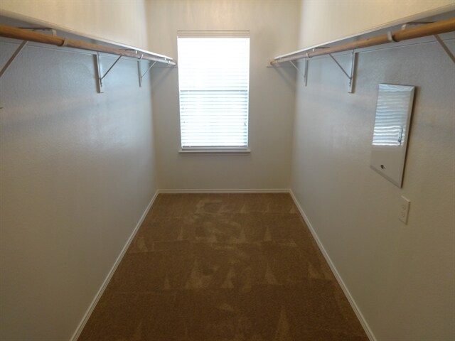Building Photo - 4020 Hanna Rose Ln