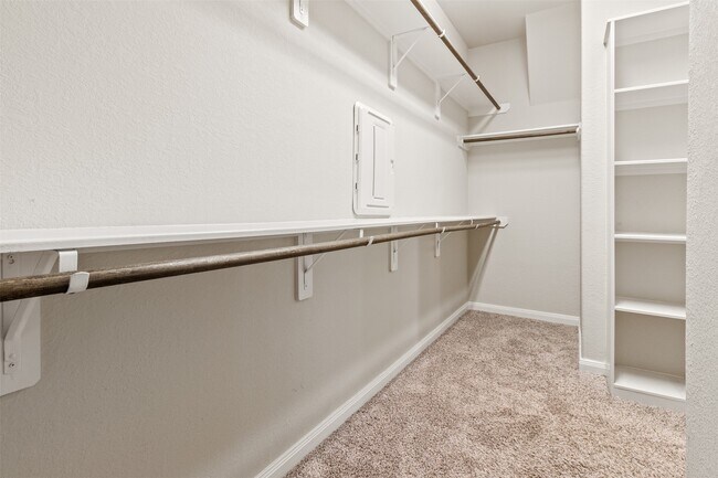 Building Photo - 25008 Calais New Ct