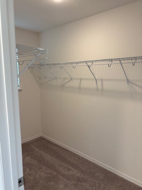 Building Photo - 3511 Eagles Xing Wy