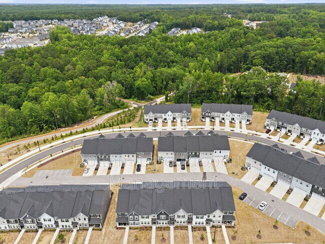 Building Photo - 1529 Foal Run Trl