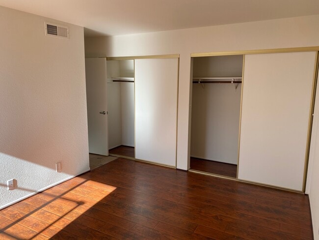 Bedroom closet - 215 S Madison Ave