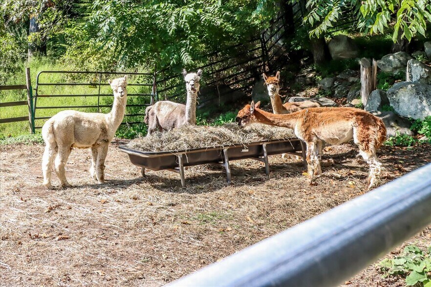 Building Photo - 155 Squash Hollow Rd