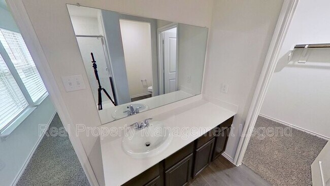 Building Photo - 2311 San Jacinto Wy