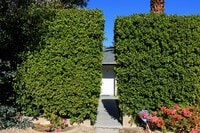 Building Photo - Sunny Dunes