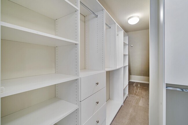 Building Photo - 5266 Fioli Loop