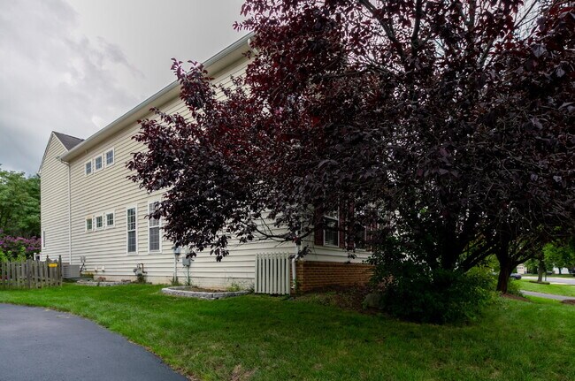 Building Photo - Spacious, Light-Filled Home in the Desirable Broadlands