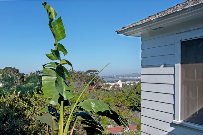 Building Photo - 2417 Arista Ct