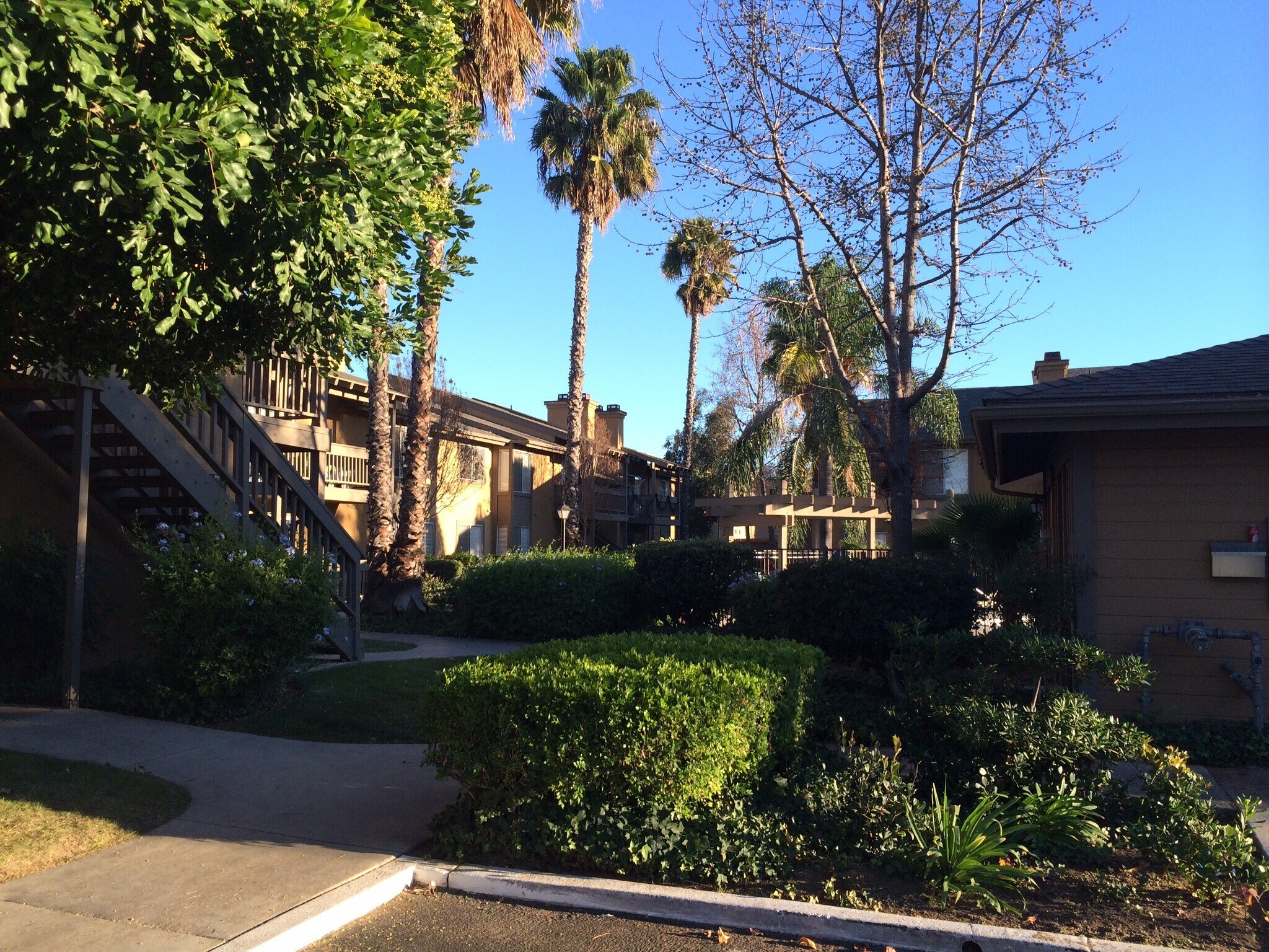 Building Photo - 1101 Chestnut St