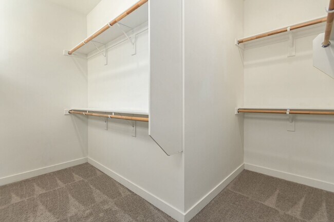 Building Photo - Large Home with Perfect Location in Cadence