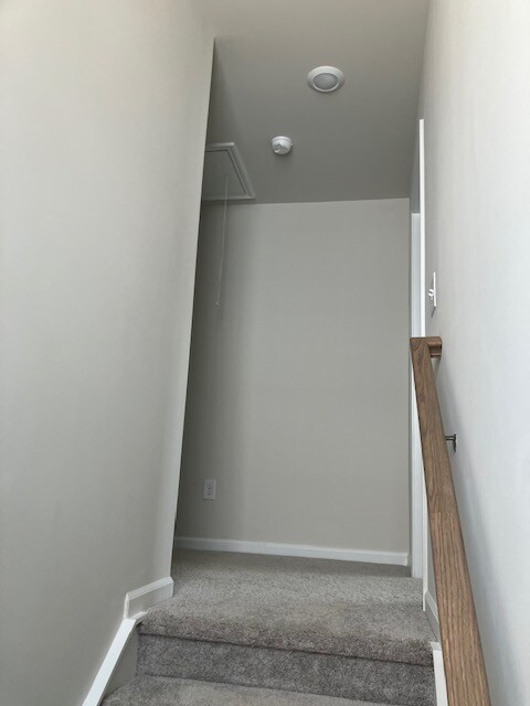 Building Photo - 1820 Bluejay Ln