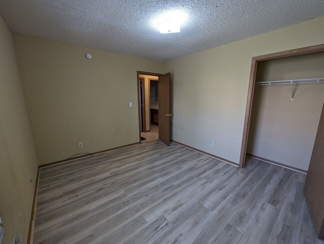 Building Photo - Massive Space, Massive Storage, and a Backyard to Match