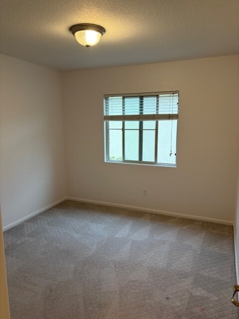 Bedroom 2 - 14103 Brent Wilsey Pl