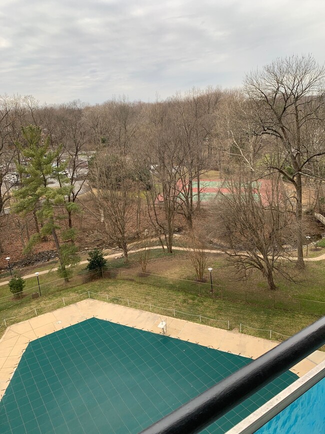 View from balcony (pool, tennis, park) - 10500 Rockville Pike