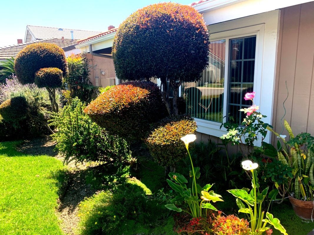 Building Photo - 18893 Santa Isadora St