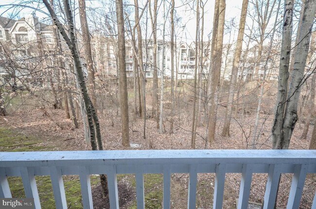 Building Photo - 10715 Hampton Mill Terrace