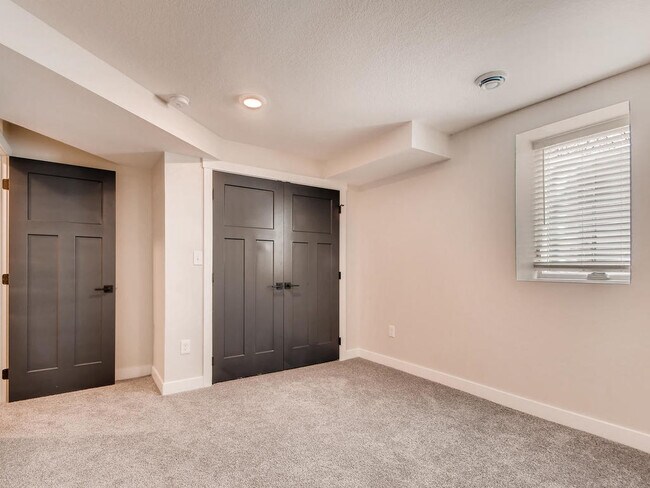 LL Bedroom #2 - also giant closet - 4661 Cedar Ave S