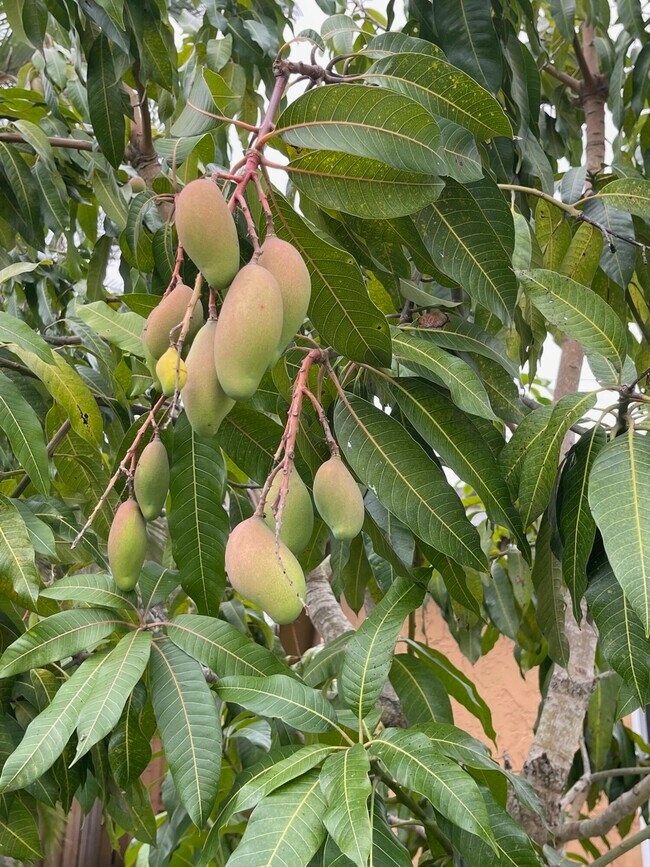 Building Photo - 11420 NW 35th St