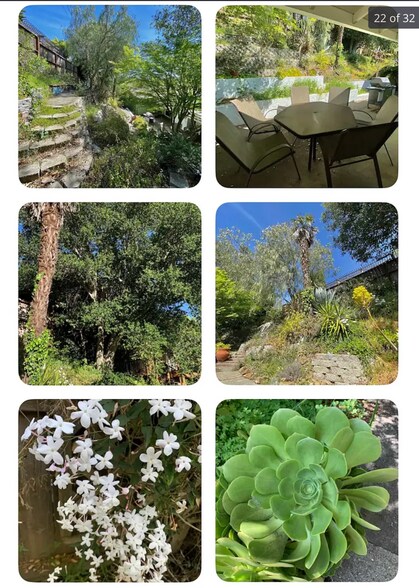 Flowers year-round - 136 Farallon Dr