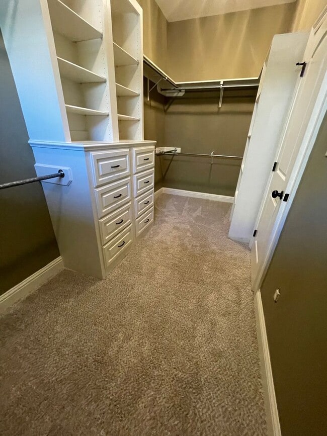 Building Photo - Gorgeous 4 Bedroom home in Twelve Oaks