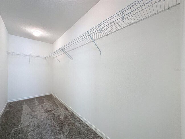 Building Photo - 707 Scrub Oak Hammock Rd