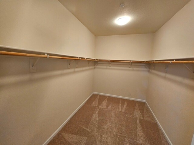 Building Photo - 920 Wilderness Way