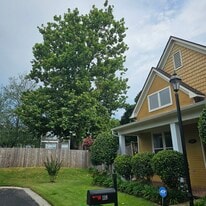Building Photo - 118 Fleets Island Dr
