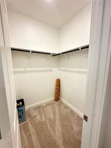 Building Photo - 1309 Francesca Dr