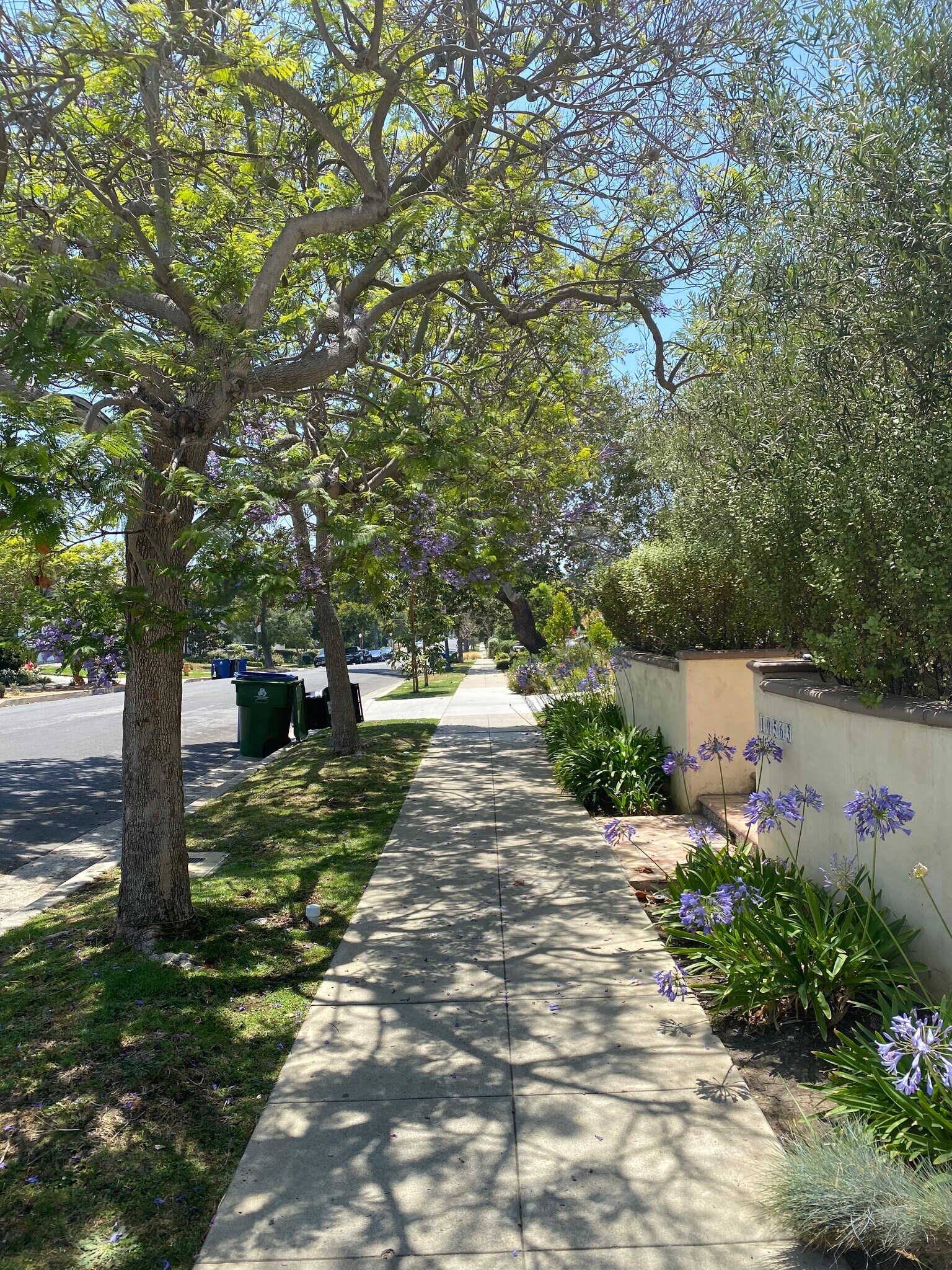 Permit street parking in quiet residential neighborhood - 10563 Cushdon Ave