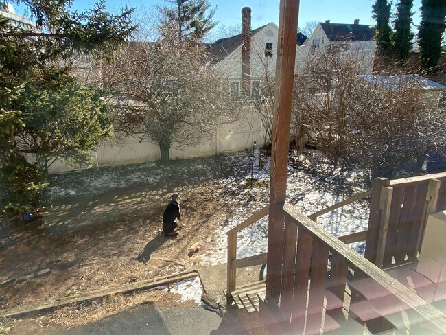 Building Photo - 7 University Pl