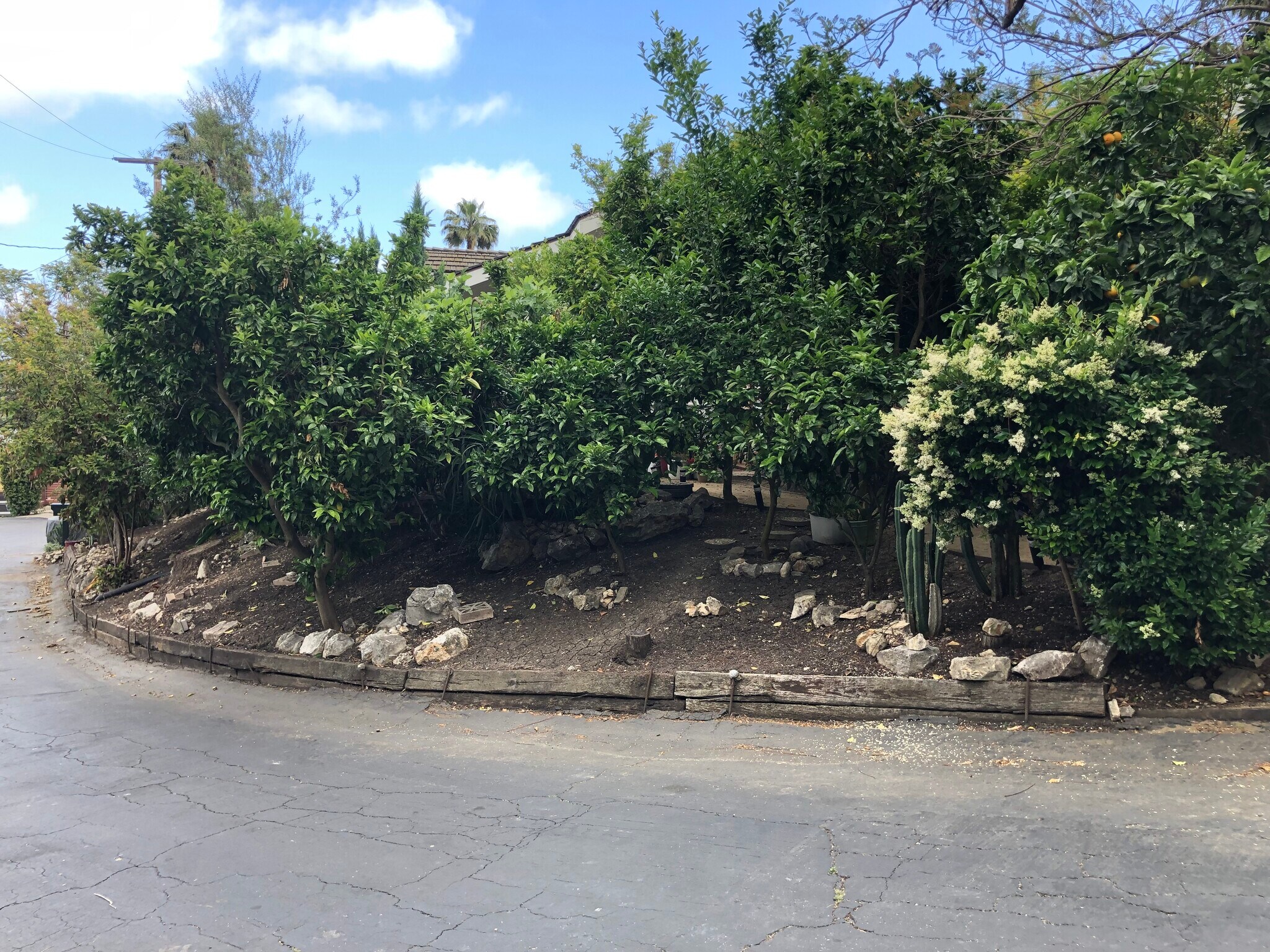 Building Photo - 12 Coach Rd