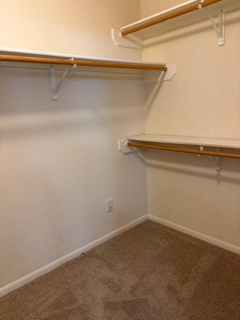 Building Photo - 1813 Parralena Ln