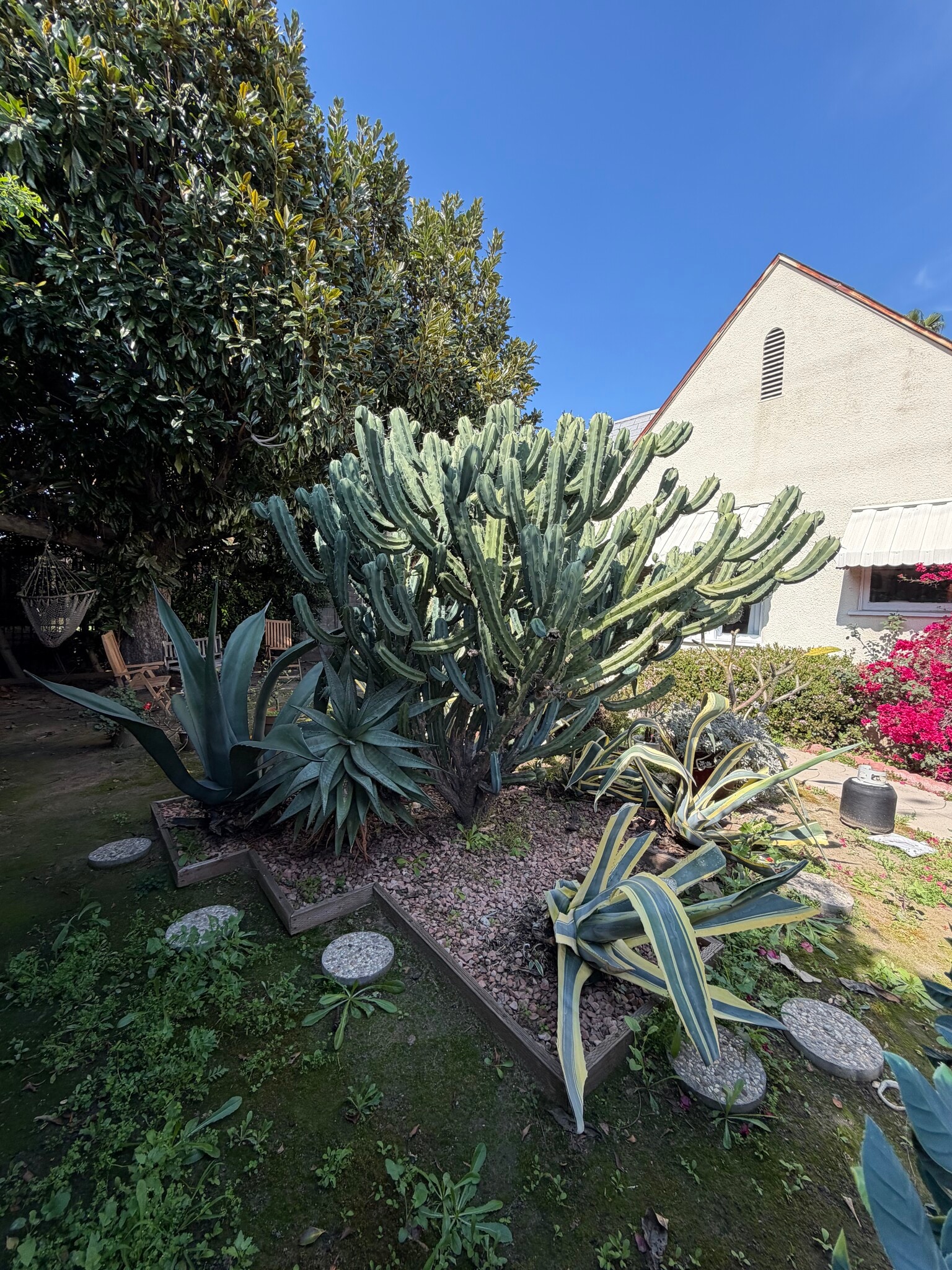 Building Photo - 13855 Vanowen St