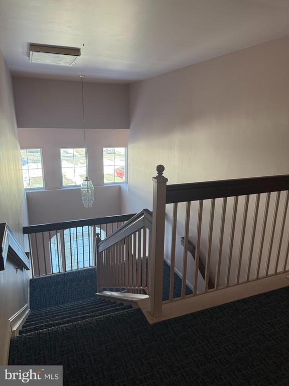 Building Photo - 309 Tall Pines Ct