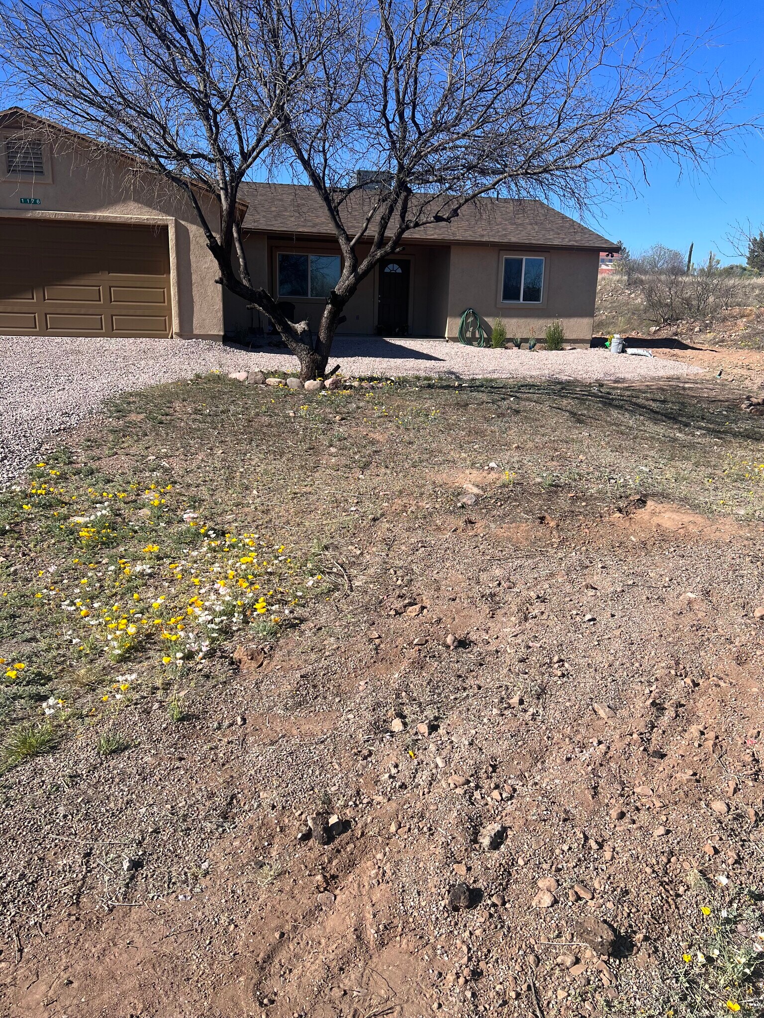 Building Photo - 1176 Menta Ct