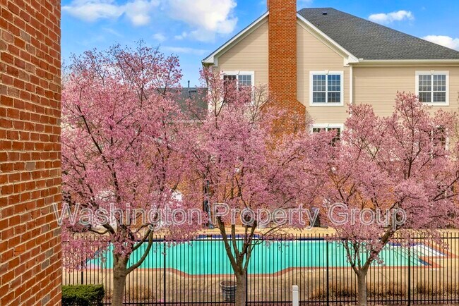 Building Photo - 4854 Eisenhower Ave