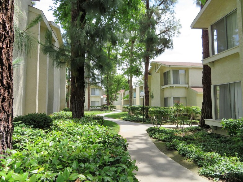 Interior Photo - Jasmine Villas