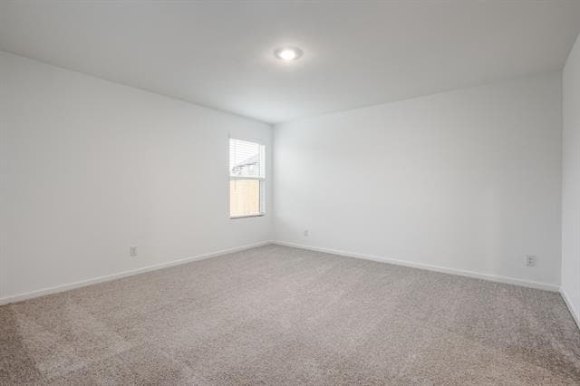 Building Photo - 1119 Barbary Flds St