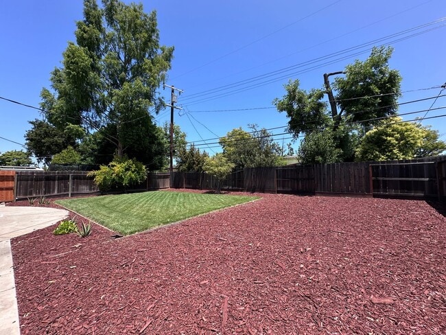Building Photo - LARGE YARD, 3/2, Remodeled, AC, Cat Friend...