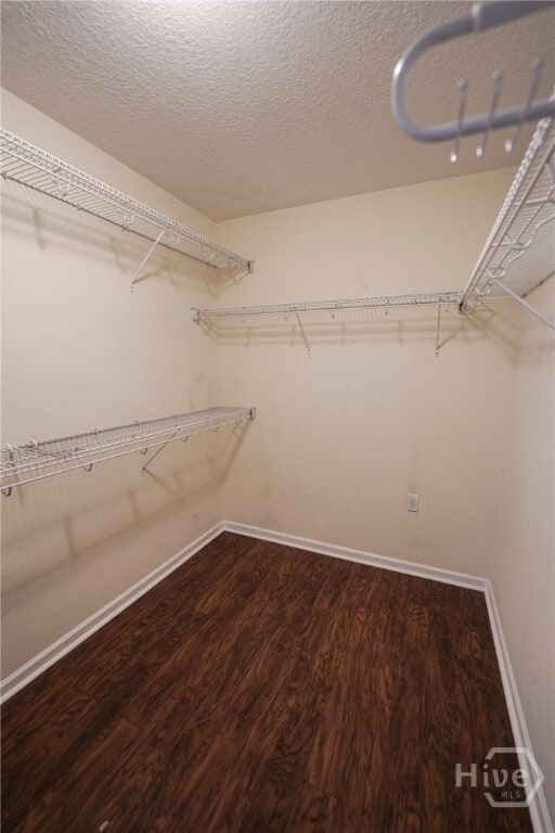 Building Photo - 170 Willow Oak Dr