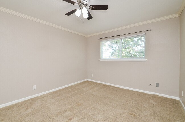 Building Photo - 13074 Trail Hollow Dr