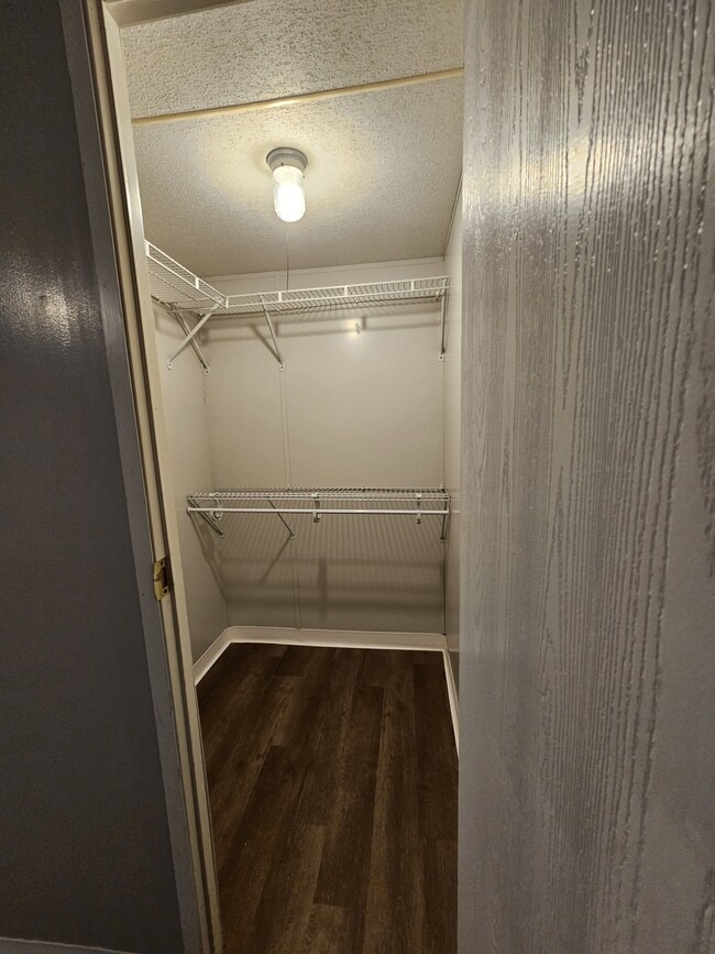 Building Photo - 333 Jasper Dr