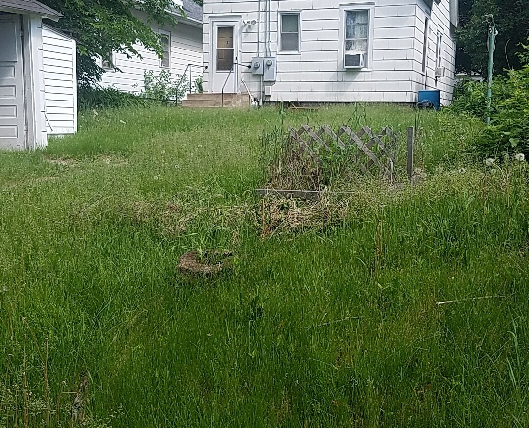 Back yard - 1182 Thomas Ave W