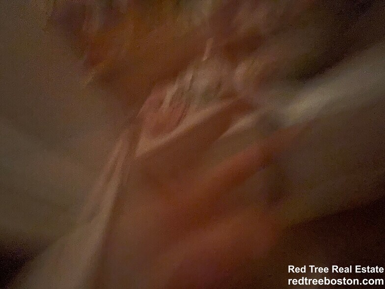 Building Photo - 62 Chestnut St