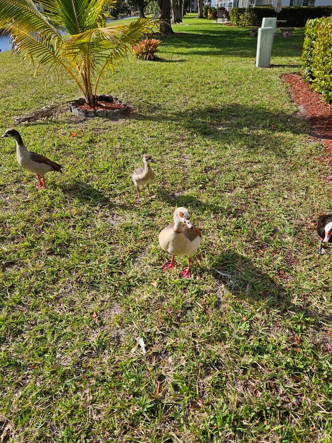 Building Photo - 75 Harwood H