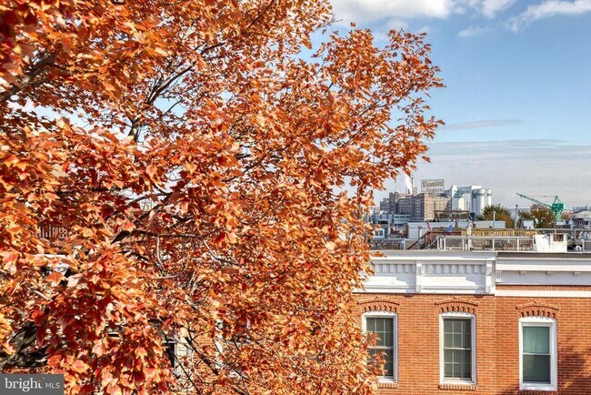 Building Photo - 447 Gittings St