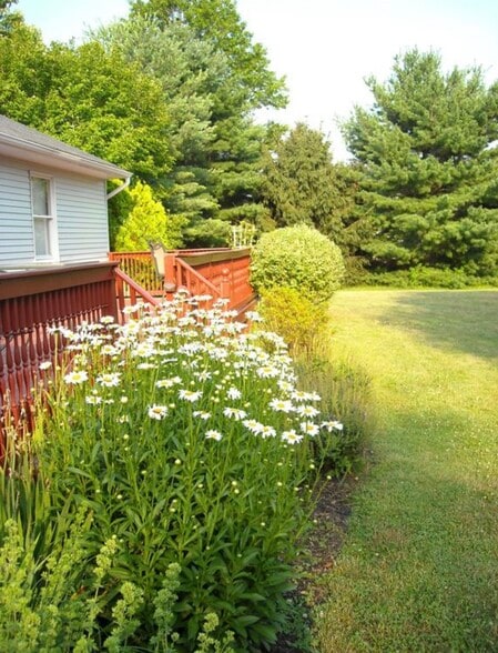 Building Photo - 254 Mullica Hill Rd