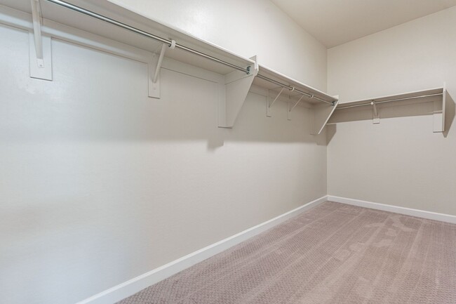 Building Photo - Beautiful and Spacious Single-Level Family...